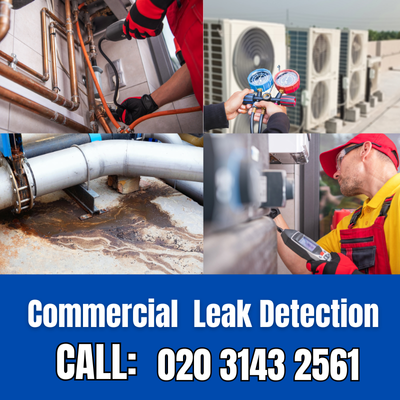 Commercial Leak Detection Services in New Haw | New Haw Leak Detection