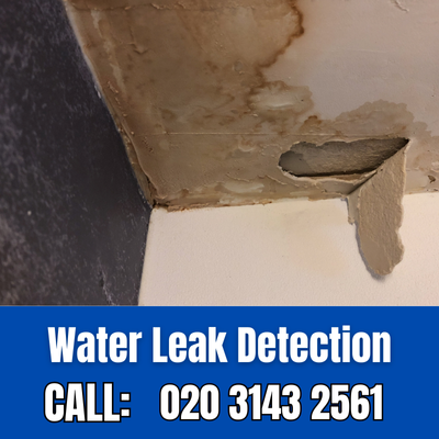 Expert Water Leak Detection Services in New Haw | New Haw Leak Detection